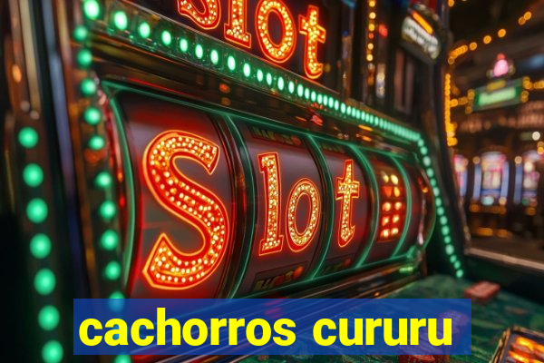 cachorros cururu